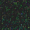 Hologram_Black