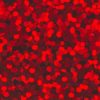 Hologram_Red